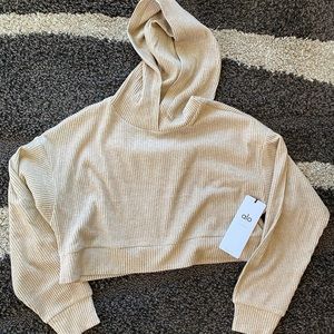 ALO Muse Hoodie Cropped